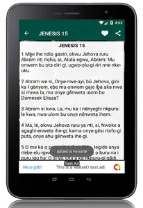 Bible NSO Igbo screenshot 12