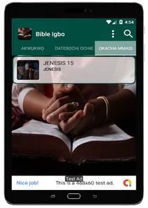 Bible NSO Igbo screenshot 21
