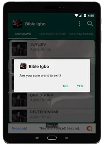 Bible NSO Igbo screenshot 23