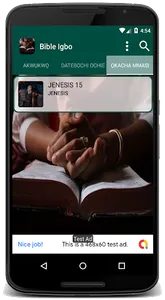 Bible NSO Igbo screenshot 5