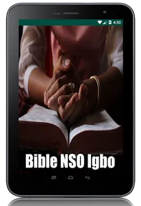 Bible NSO Igbo screenshot 8