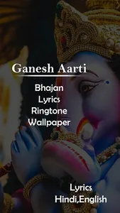 Ganesh Aarti (गणेश भगवान आरती) screenshot 9