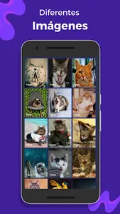 Cute Kittens screenshot 0