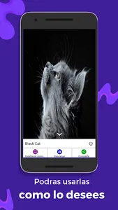 Cute Kittens screenshot 2