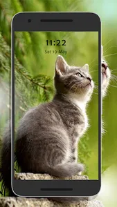 Cute Kittens screenshot 5