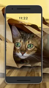 Cute Kittens screenshot 7