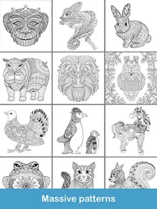 Animals Coloring Books screenshot 14