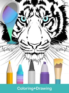 Animals Coloring Books screenshot 16