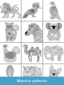 Animals Coloring Books screenshot 23