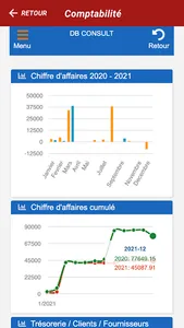 Excellien Expertise comptable screenshot 4