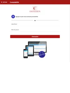 Excellien Expertise comptable screenshot 6