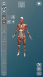 exe Anatomy AR screenshot 2