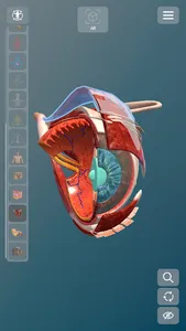 exe Anatomy AR screenshot 3