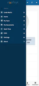Exelsys screenshot 1