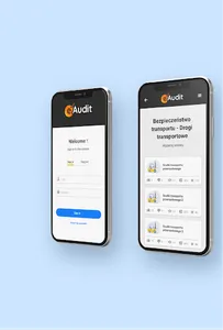eAudit screenshot 12