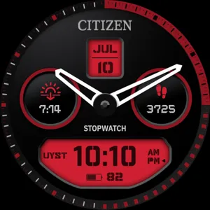 Citizen Watch Face 2 screenshot 2