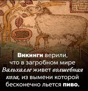 Факты о викингах screenshot 2