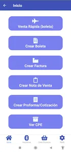 Facturasoluciones screenshot 2