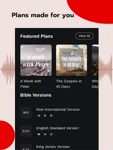 Bible - Audio & Video Bibles screenshot 16