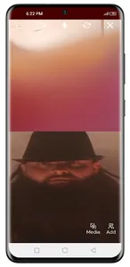 Brock Lesnar fake video call screenshot 6