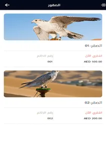 Falcons UAE screenshot 15