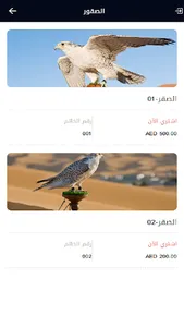 Falcons UAE screenshot 5