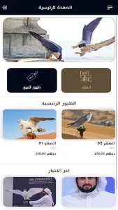 Falcons UAE screenshot 8