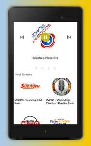 Radio Michigan: Radio Stations screenshot 21