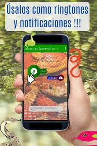 Sonidos de Serpientes. screenshot 2