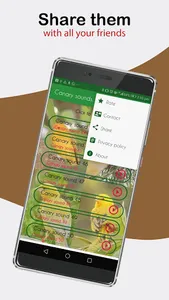 Canary Sounds. nice songs. screenshot 3