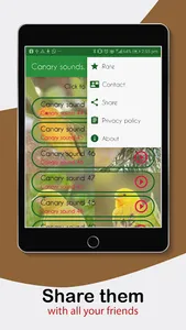 Canary Sounds. nice songs. screenshot 8