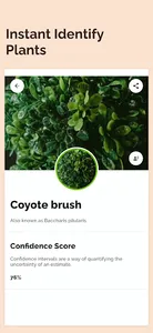 Plant Identifier: Plants screenshot 1