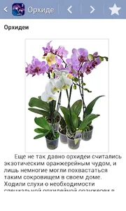 Энциклопедия растений Часть 2 screenshot 2
