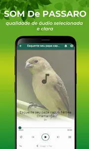 Canto De Papa-Capim Fêmea screenshot 1