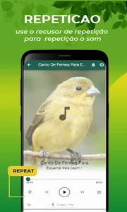 Canto De Papa-Capim Fêmea screenshot 11