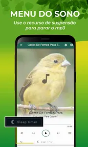 Canto De Papa-Capim Fêmea screenshot 4