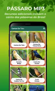 Cantos De Tiziu screenshot 3