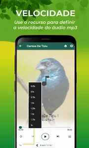 Cantos De Tiziu screenshot 6