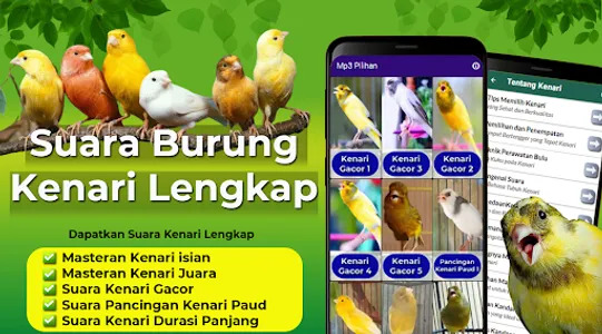 Suara Burung Kenari Gacor screenshot 0