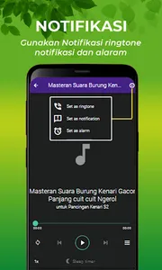 Suara Burung Kenari Gacor screenshot 11