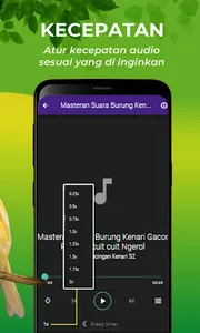 Suara Burung Kenari Gacor screenshot 13