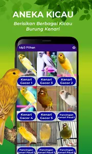 Suara Burung Kenari Gacor screenshot 2