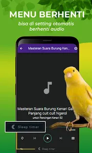 Suara Burung Kenari Gacor screenshot 4