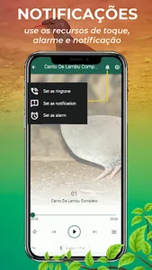 Canto De Lambu Completo screenshot 3
