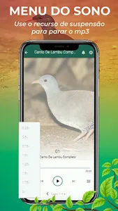 Canto De Lambu Completo screenshot 4