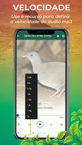Canto De Lambu Completo screenshot 5
