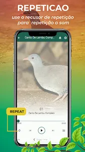 Canto De Lambu Completo screenshot 6
