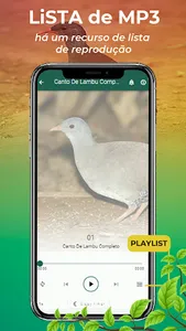 Canto De Lambu Completo screenshot 7