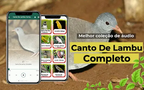 Canto De Lambu Completo screenshot 8