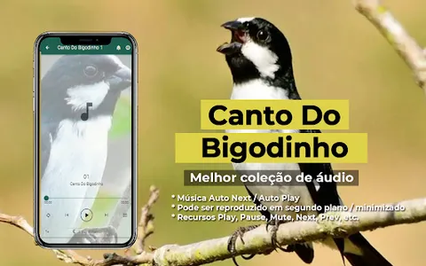 Canto Do Bigodinho screenshot 0
